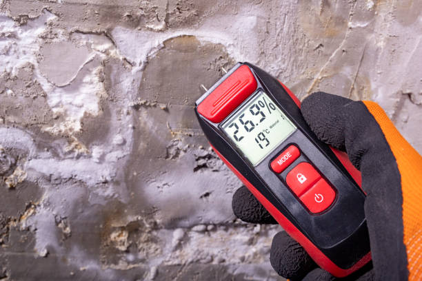 Olivet, MI Mold Removal Company