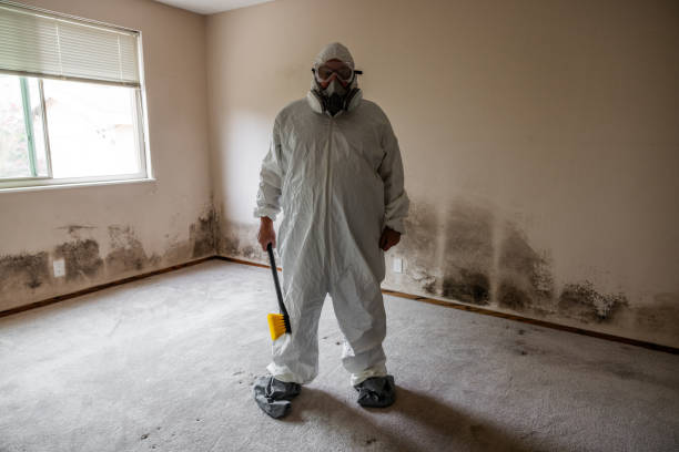 Best Professional Mold Removal  in Olivet, MI