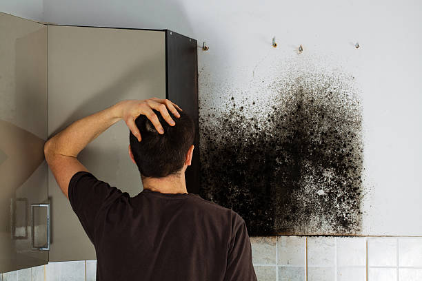 Best Crawl Space Mold Removal  in Olivet, MI